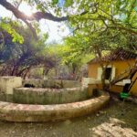 Guided Art Heritage Nature Tour - Discovering Landhuis Bloemhof: An Authentic Curaçao Experience
