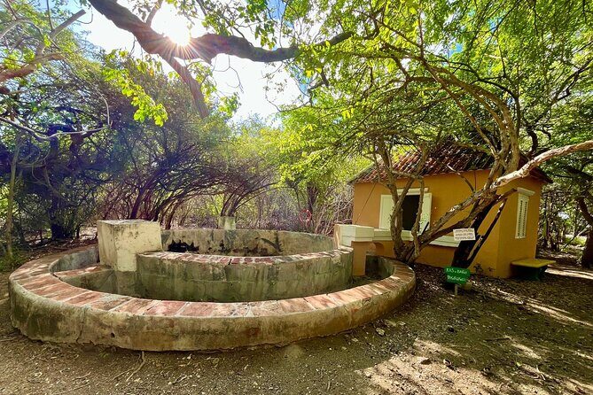 Guided Art Heritage Nature Tour - Discovering Landhuis Bloemhof: An Authentic Curaçao Experience