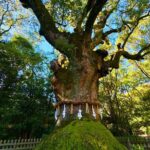 Guided Tour of Historic Atsuta Shrine and Sword Museum - Why This Tour Works Well