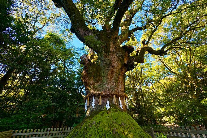 Guided Tour of Historic Atsuta Shrine and Sword Museum - Why This Tour Works Well