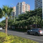 Guided Walking Tour to experience life of a local Hainanese - An In-Depth Look at the Sanya Walking Tour