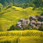 Guilin Longji: Rice Terrace with Oil Tea Demo & Zhuang Lunch - Why This Tour Is Worth Considering
