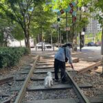 Gwangju Pet Plogging Tour (4 hours) - Exploring Gwangju with a Purpose