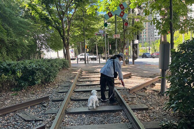 Gwangju Pet Plogging Tour (4 hours) - Exploring Gwangju with a Purpose