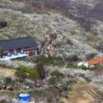 Gwangyang Maewha Flower and Jeonju Hanok Village Tour from Seoul - Final Thoughts: Is This Tour Worth It?