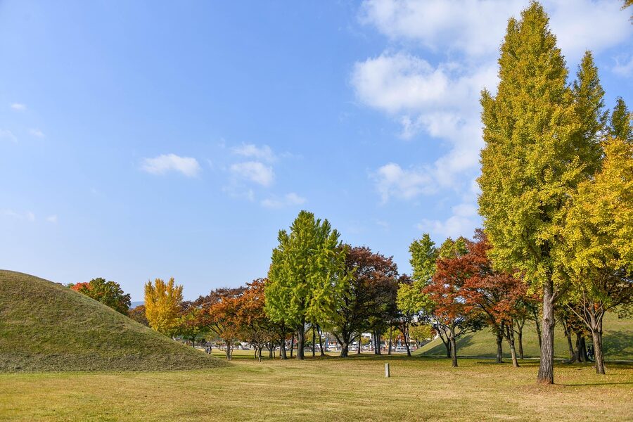 Gyeongju Daereungwon tomb park with autumn fall colors and bright trees