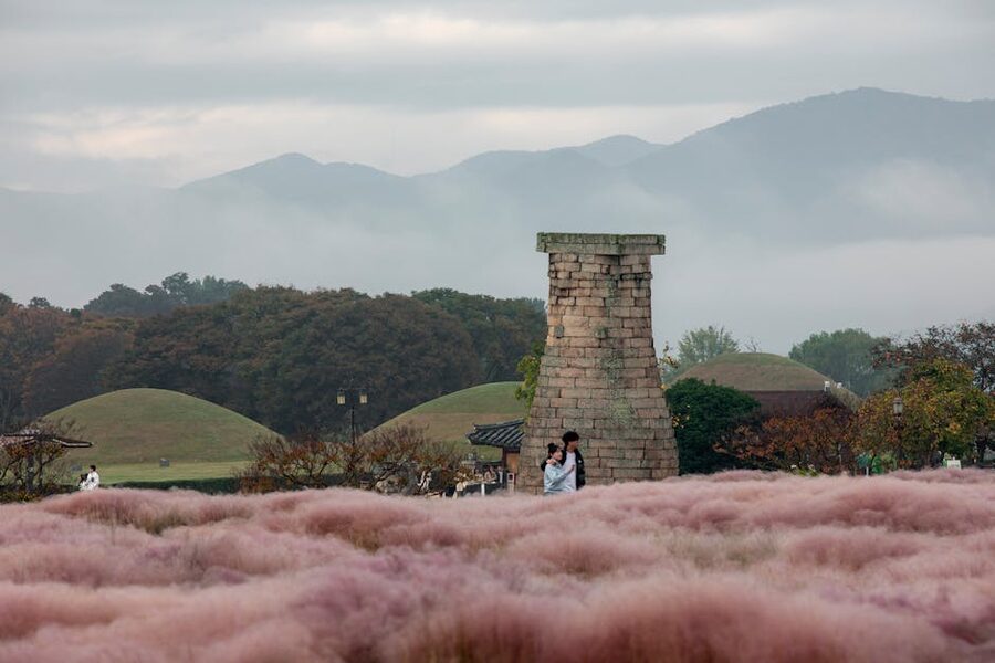 Couple walking by pink muhly grass near Cheomseongdae Observatory Gyeongju