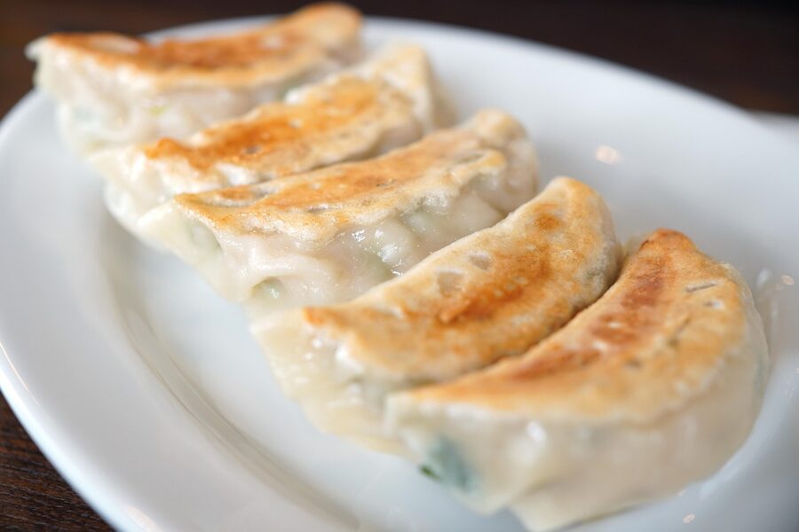 Grilled gyoza dumplings Japanese food