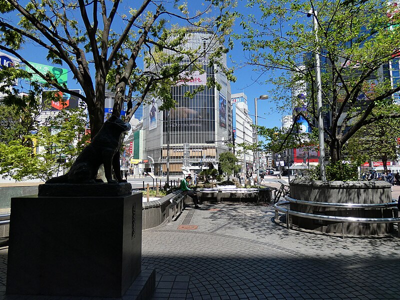 Hachiko Square in Shibuya empty