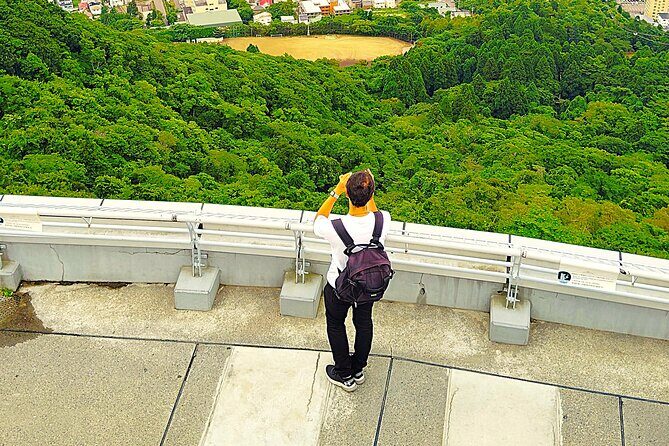 Hakodate: Romantic Port Walk & Mt. Hakodate Night View - Exploring Hakodate’s Night Tour in Depth