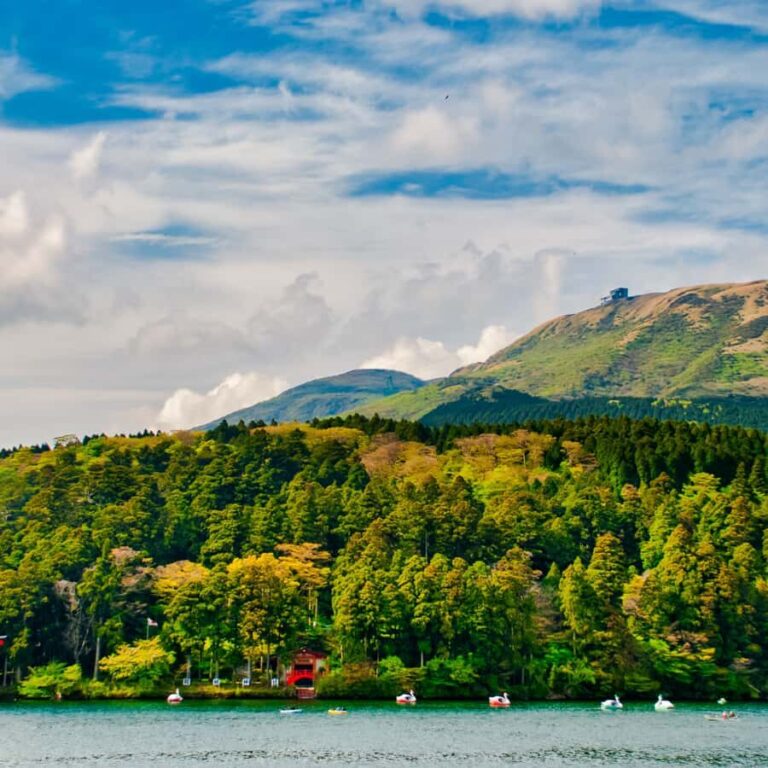 Hakone: Mt. Fuji & Izu Private Tour with Lunch & Tickets - Practical Details and Comfort