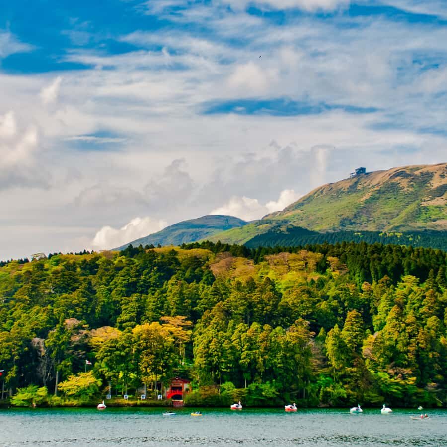 Hakone: Mt. Fuji & Izu Private Tour with Lunch & Tickets - Practical Details and Comfort