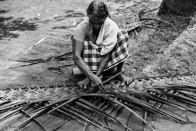Half-Day Eco Punting and Village Backwater Cruise from Cochin - Valuing the Experience: Is It Worth It?