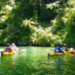Half-Day Guided Sea Kayak Trip from Picton - Who Will Love This Experience?