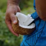 Half day Private tour of Moorea Safari Albert Pick up hotel - Who Will Love This Tour?