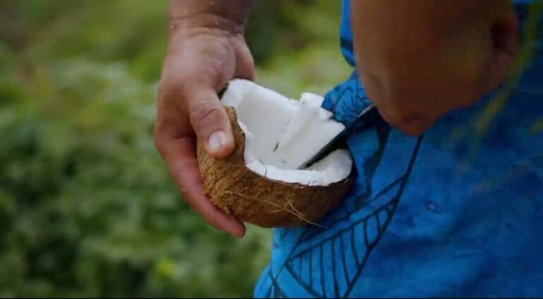 Half day Private tour of Moorea Safari Albert Pick up hotel - Who Will Love This Tour?