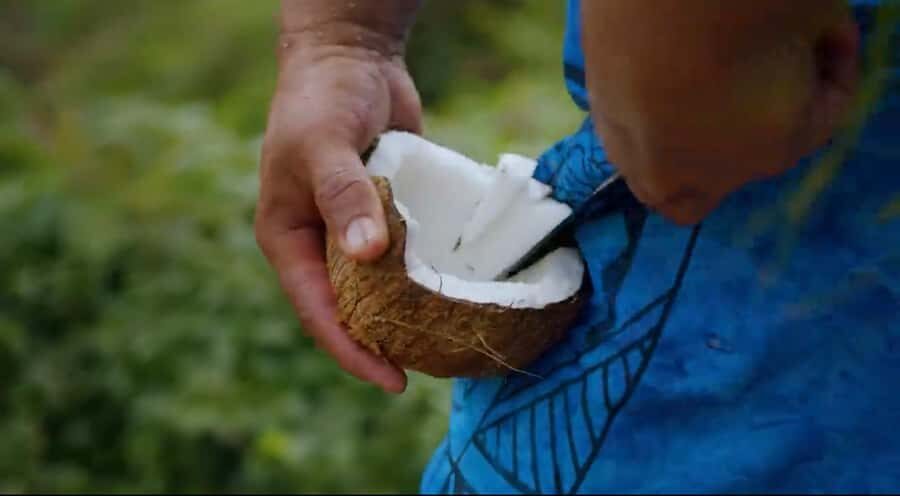 Half day Private tour of Moorea Safari Albert Pick up hotel - Who Will Love This Tour?