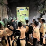 Half Day River Monster Tour with Private Guide in Siem Reap - Why This Tour Works for You