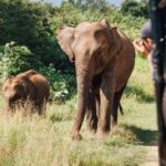 Half Day Safari in Yala National Park from Hambantota Harbor - Who Should Consider This Tour?