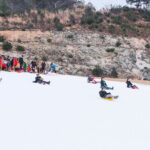 Half Day Strawberry & Snow Sled Tour in Eobi Seoul - Practical Details and What You Should Know
