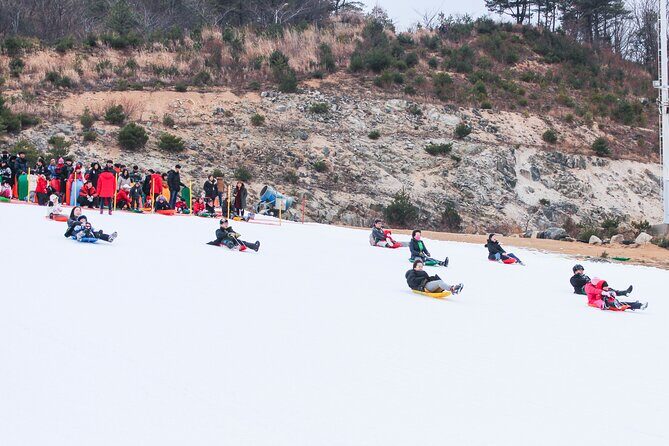 Half Day Strawberry & Snow Sled Tour in Eobi Seoul - Practical Details and What You Should Know
