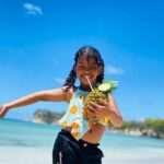 Half Day Tour Excursion in Macao Beach - Practical Details You Need to Know