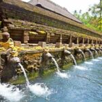Half Day Ubud and Tampak Siring Private Tour From Bali - Exploring Bali’s Artistic and Spiritual Heart