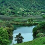 Hangzhou Tea Tour: Villages, Lakes & Whisked Tea Experience - A Step-by-Step Breakdown of the Hangzhou Tea Tour