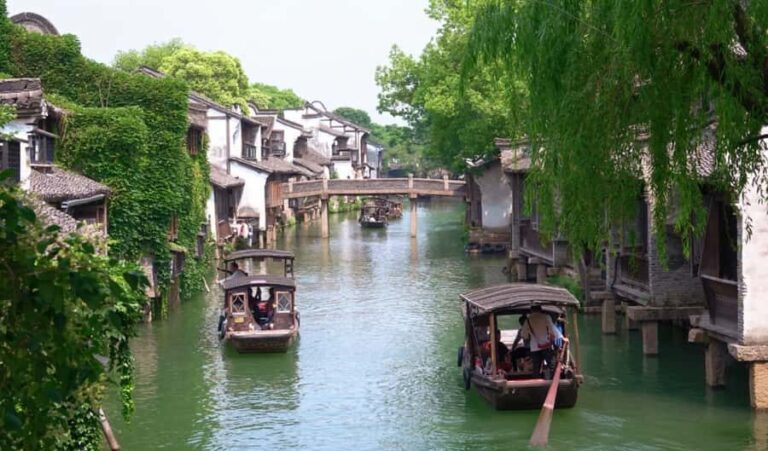 Hangzhou: Wuzhen & Nanxun Town Tour with Tea & Pingtan - What Makes This Tour Stand Out
