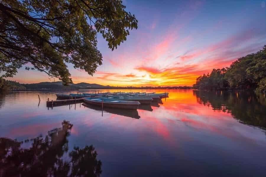 Hangzhou:Cultural and World Heritage Tour with Private Guide - Why This Tour Offers Excellent Value