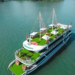 Hanoi : 5 Star Halong Bay Cruise Buffet Lunch,Limousine & Jacuzzi - Practical Details and Tips