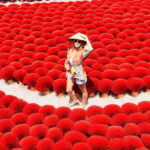 Hanoi: Incense, Hat Villages & Ninh Binh, Trang An Tour - The Value of This Tour