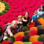 Hanoi Incense Village and Train Street Half Day Private Tour - A Closer Look at the Itinerary: What to Expect