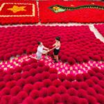 Hanoi: Villages Tour with Incense and Conical Hat Crafting - Exploring the Itinerary: What You Can Expect