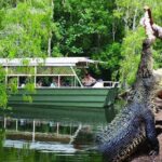 Hartley Crocodile Park with Kuranda, Skyrail Cableway and Train - The Practical Side: What You Need to Know