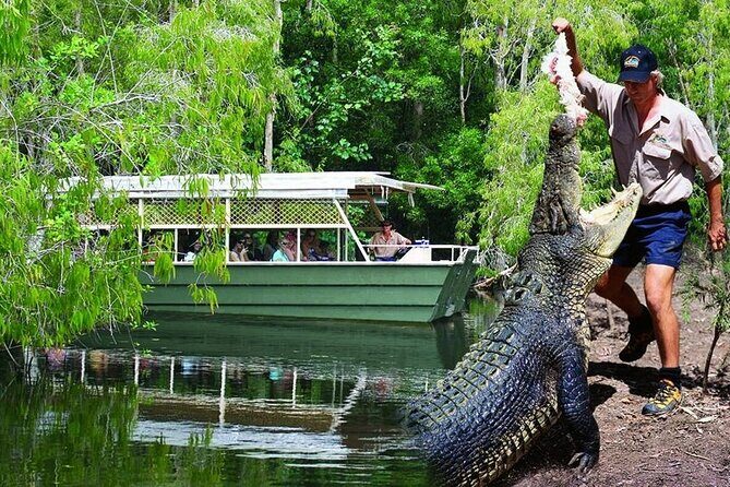 Hartley Crocodile Park with Kuranda, Skyrail Cableway and Train - The Practical Side: What You Need to Know