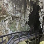 Haruru Waterfalls and Glow Worm Caves Tour - The Value of This Tour