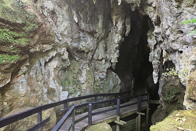 Haruru Waterfalls and Glow Worm Caves Tour - The Value of This Tour