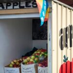 Hastings Caves, Tahune Airwalk and the Huon Tasting Trail - The Journey Begins: From Hobart to Huonville