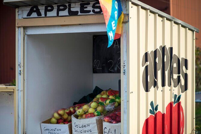 Hastings Caves, Tahune Airwalk and the Huon Tasting Trail - The Journey Begins: From Hobart to Huonville