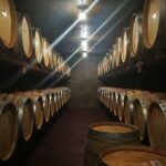 Hawkes Bay Wine Tour: Explore NZ's Great Wine Capital - A Closer Look at the Hawkes Bay Wine Tour