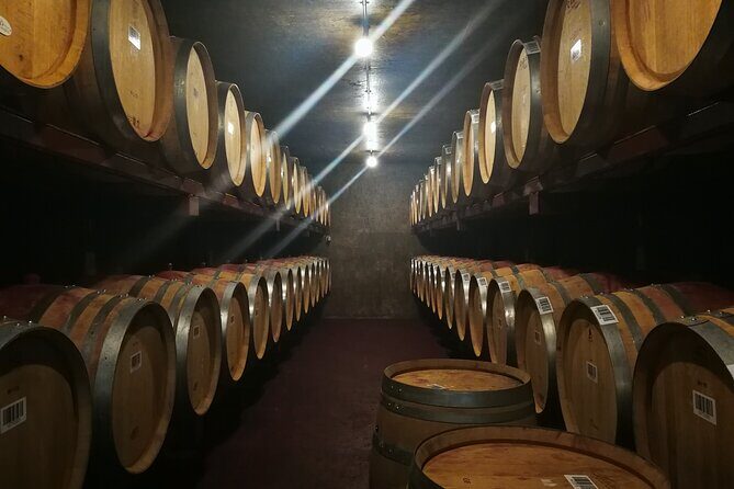 Hawkes Bay Wine Tour: Explore NZ's Great Wine Capital - A Closer Look at the Hawkes Bay Wine Tour