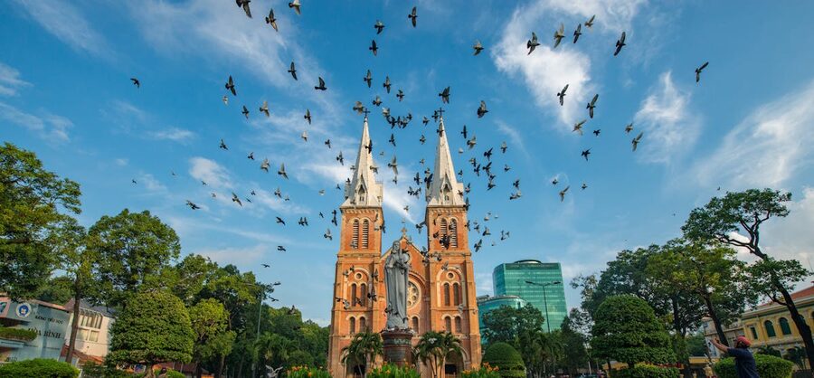 Birds flying over Notre-Dame Cathedral Basilica in Ho Chi Minh City