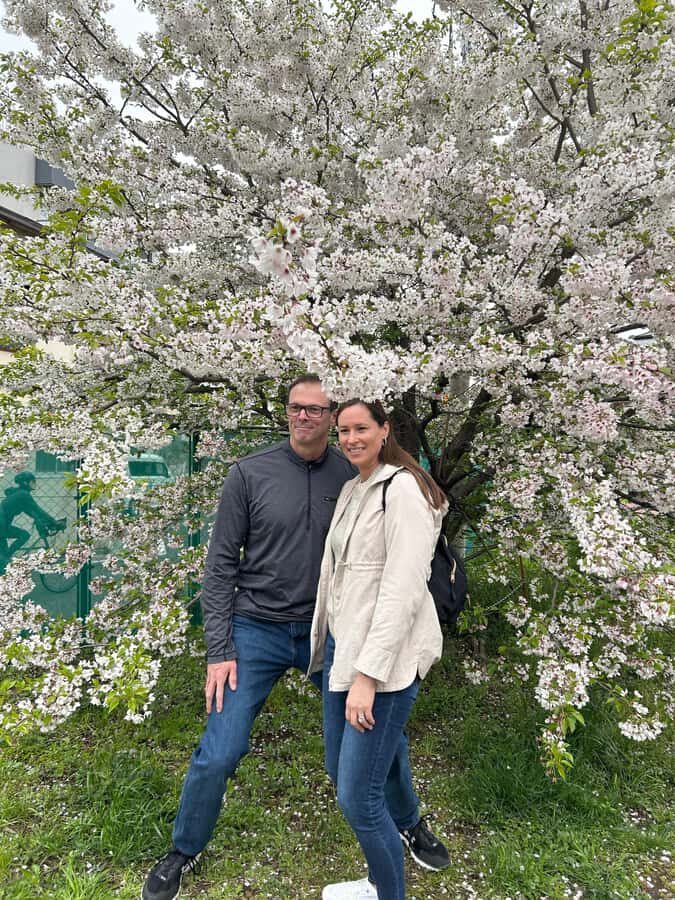 Heritage Tokyo: Sakura, Sake Brewery, Pairing Lunch - A Tour That Balances Nature, Heritage, and Culinary Art