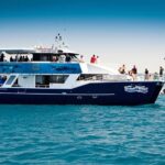 Hervey Bay Whale Watching Cruise - A Deep Dive into the Hervey Bay Whale Watching Experience