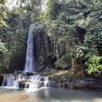 Hidden Waterfall and Sukawati Temple with a local Guide Tour - Cultural and Spiritual Stops: Sukawati Temple