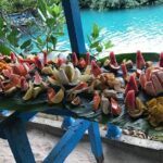 Hideaway Island Escape, Blue Lagoon and Turtle Experience - Practical Details and What to Expect