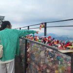 Highlights of Seoul Tour in Seoul: Deoksugung & N Seoul Tower - Who Is This Tour Best For?