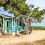 Higuey: Full-Day Tour with River Boat, Lunch, & Voodoo Show - How the Experience Flows and Its Practical Aspects