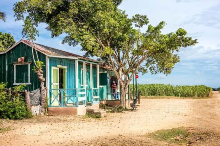 Higuey: Full-Day Tour with River Boat, Lunch, & Voodoo Show - How the Experience Flows and Its Practical Aspects